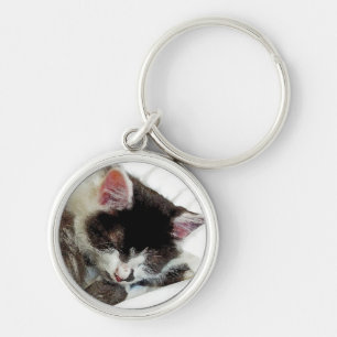 Chaveiro Gatinho adormecido no cobertor branco