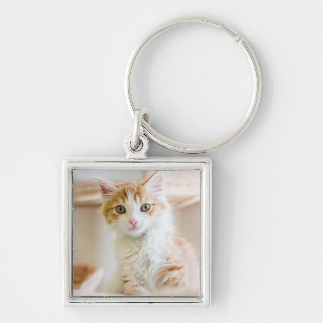 Chaveiro Gatinho alaranjado & branco (Frente)
