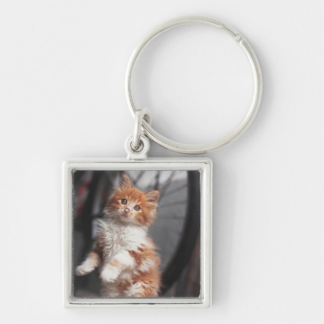 Chaveiro Gatinho alaranjado do gato malhado (Frente)