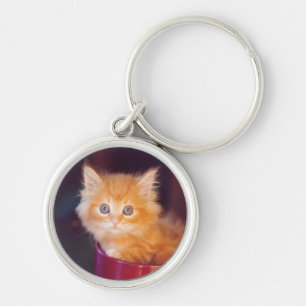 Chaveiro Gatinho alaranjado em uma caneca vermelha