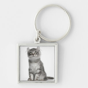 Chaveiro Gatinho americano da onda (3 meses velho)