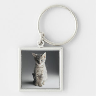 Chaveiro Gatinho azul do gato malhado