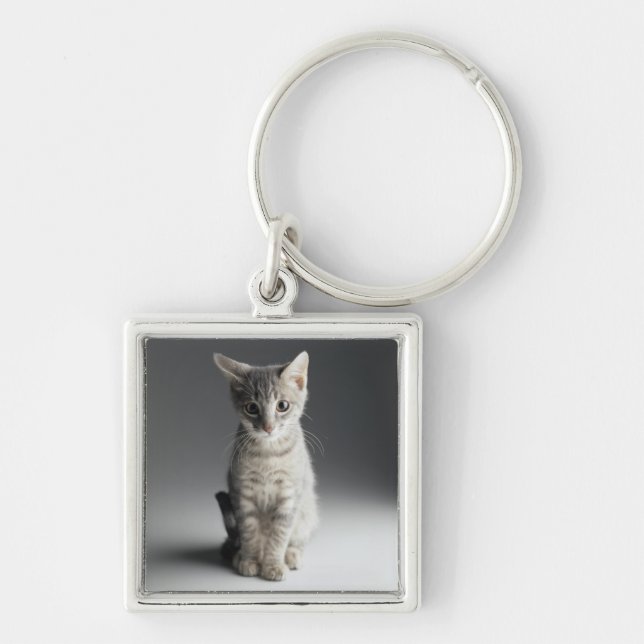 Chaveiro Gatinho azul do gato malhado (Frente)