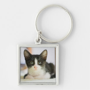 Chaveiro Gatinho branco e preto doce