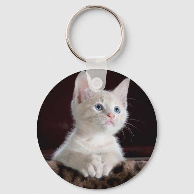 Chaveiro Gatinho branco super bonito (Frente)