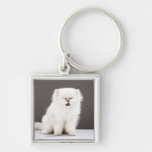 Chaveiro Gatinho com os olhos fechados