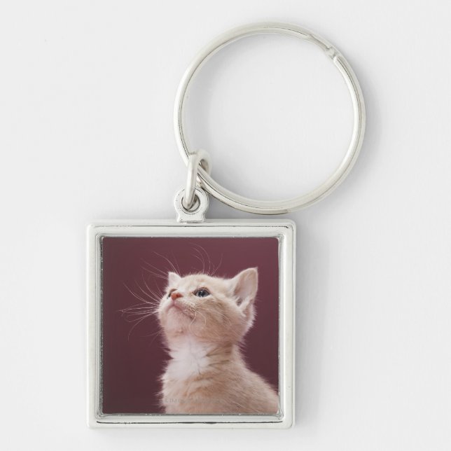 Chaveiro Gatinho com suiças (Frente)