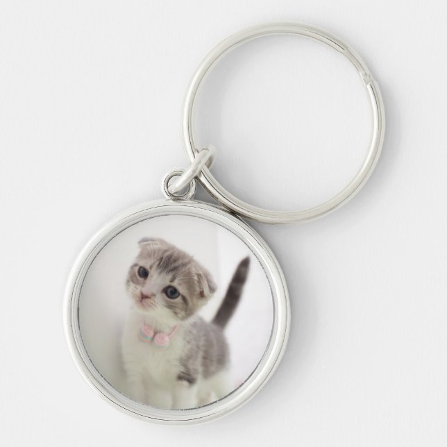 Chaveiro Gatinho da dobra do Scottish (Frente)