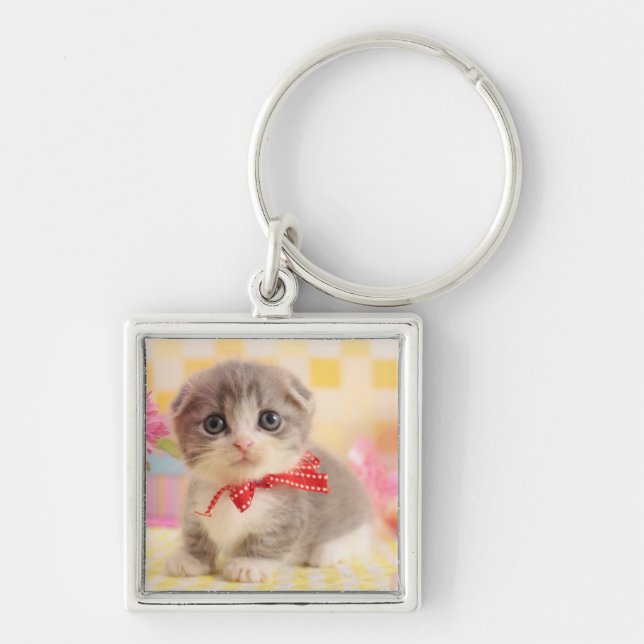 Chaveiro Gatinho de Munchkin (Frente)