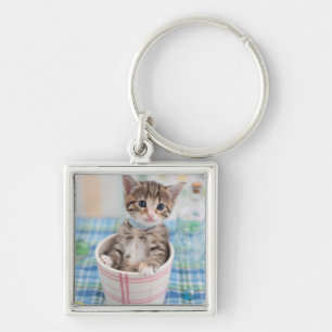 Chaveiro Gatinho de Munchkin com fita bonito
