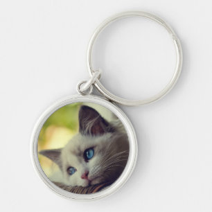 Chaveiro Gatinho de Ragdoll