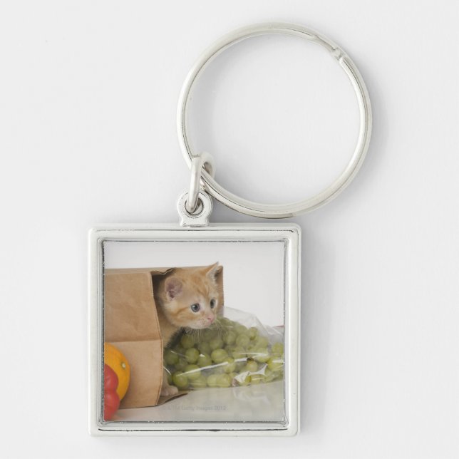 Chaveiro Gatinho dentro da bolsa de compra (Frente)