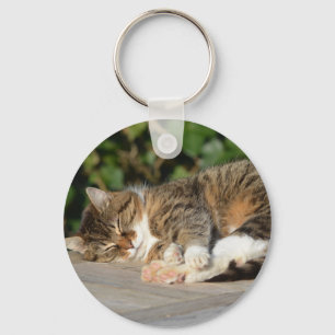 Chaveiro Gatinho do Sleepyhead