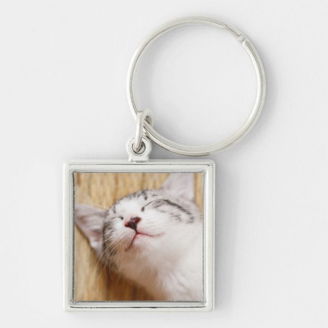 Chaveiro Gatinho do sono (Frente)