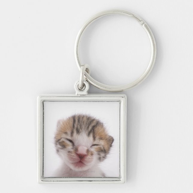 Chaveiro Gatinho do sono (Frente)