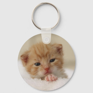 Chaveiro Gatinho doce do filhote de cachorro