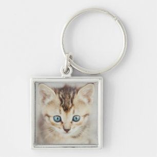 Chaveiro Gatinho Eyed azul