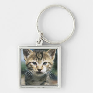 Chaveiro Gatinho fora