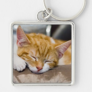 Chaveiro Gatinho Gato