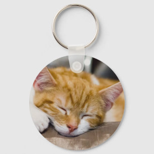 Chaveiro Gatinho Gato