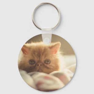 Chaveiro Gatinho legal que fica quente