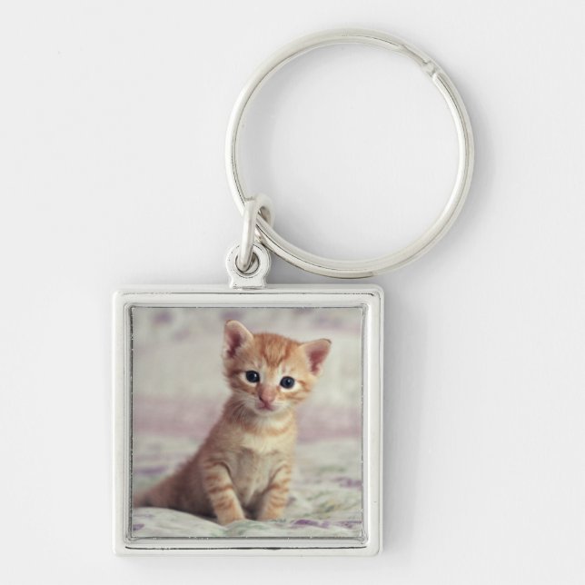 Chaveiro Gatinho minúsculo do gengibre (Frente)