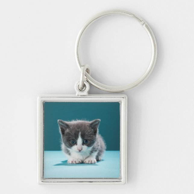 Chaveiro Gatinho pequeno (Frente)