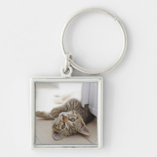 Chaveiro Gatinho pequeno bonito