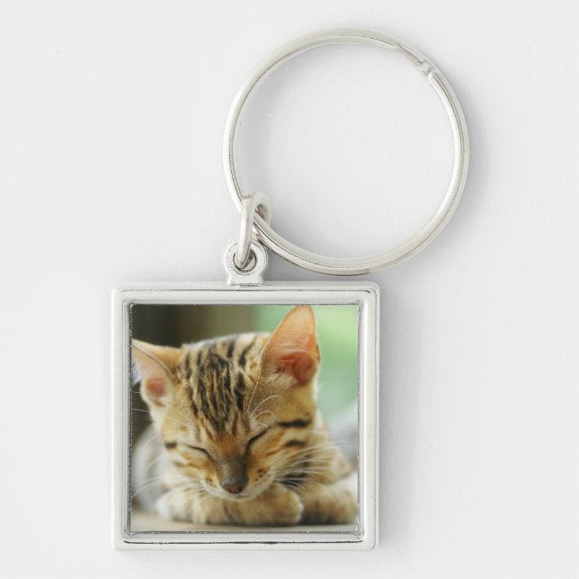 Chaveiro Gatinho pequeno do bebê do sono (Frente)