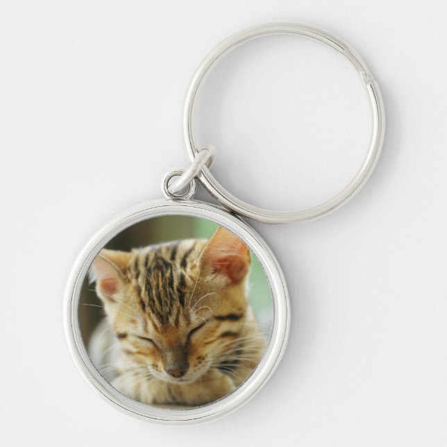 Chaveiro Gatinho pequeno do bebê do sono (Frente)