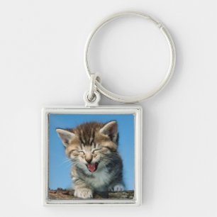 Chaveiro Gatinho pequeno em uma árvore