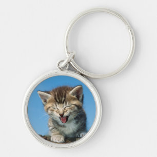 Chaveiro Gatinho pequeno em uma árvore
