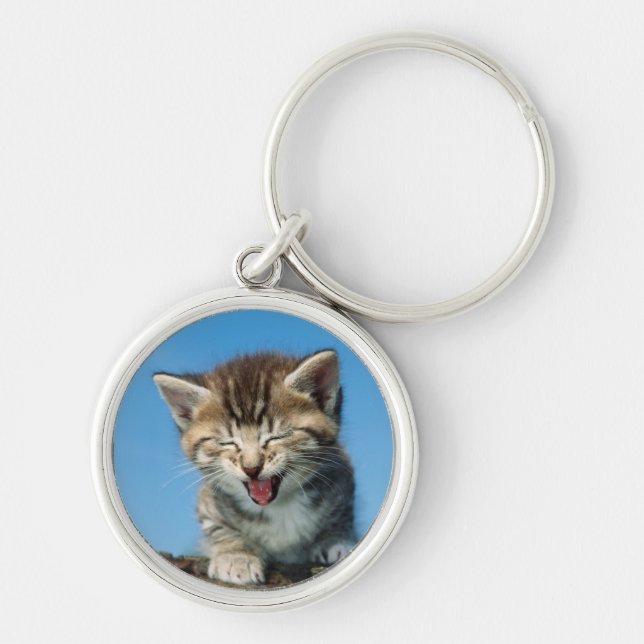 Chaveiro Gatinho pequeno em uma árvore (Frente)