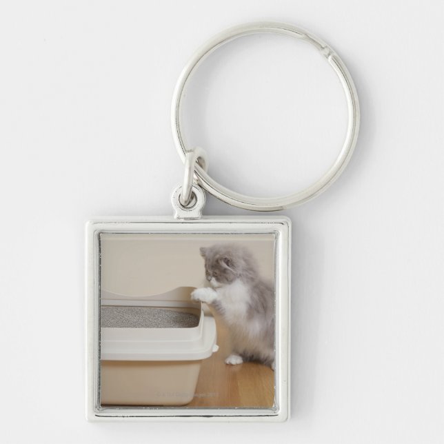Chaveiro Gatinho persa que olha a caixa de maca (Frente)