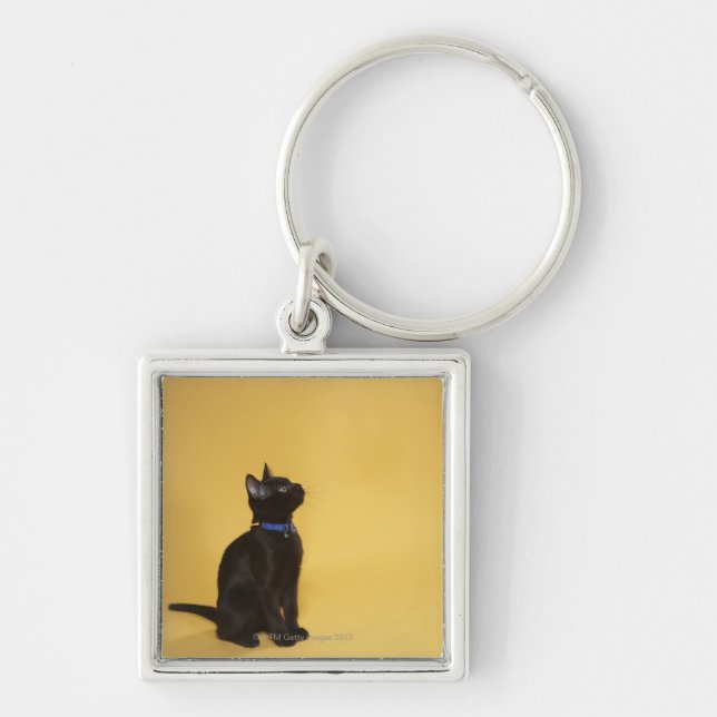 Chaveiro Gatinho preto no colar (Frente)