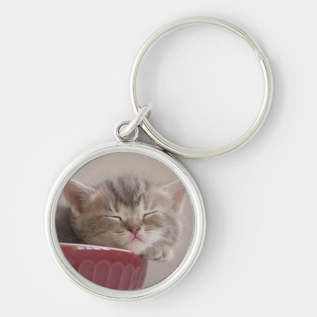 Chaveiro Gatinho que dorme em uma bacia (Frente)