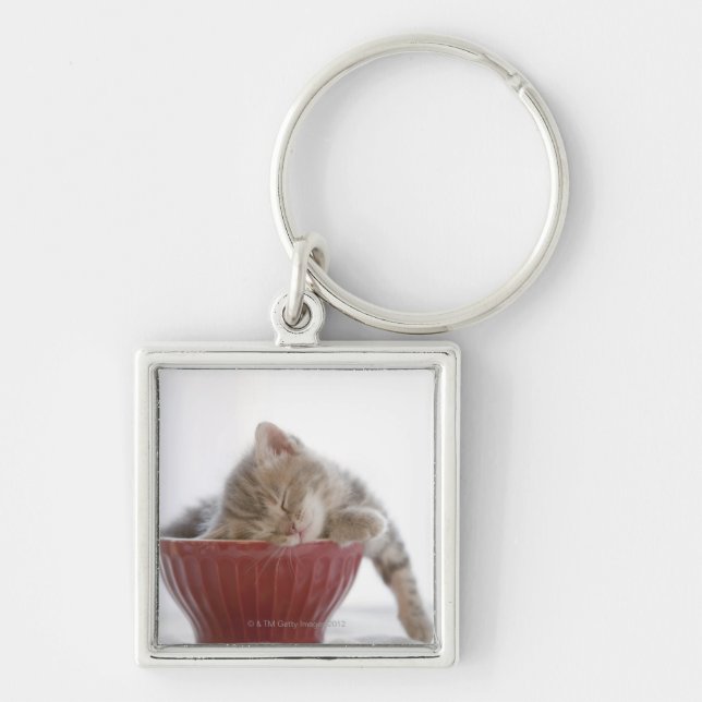 Chaveiro Gatinho que dorme na bacia (Frente)