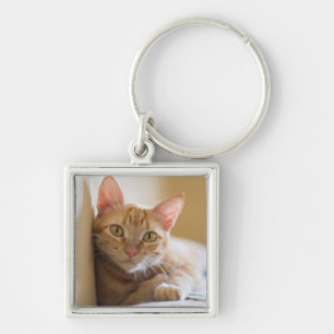 Chaveiro Gatinho que encontra-se no sofá