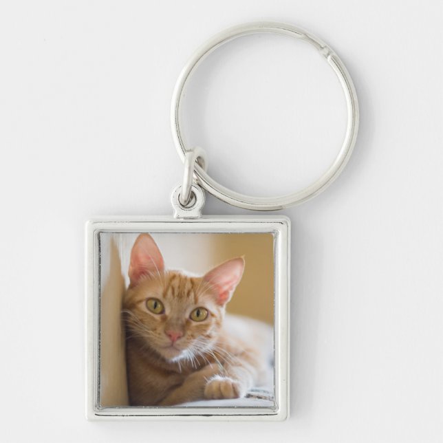Chaveiro Gatinho que encontra-se no sofá (Frente)