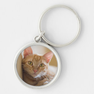 Chaveiro Gatinho que encontra-se no sofá
