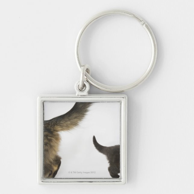 Chaveiro Gatinho que olha acima na cauda da sua mãe (Frente)