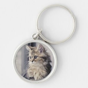 Chaveiro Gatinho que olha para fora a janela
