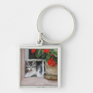 Chaveiro Gatinho que olha para fora a janela