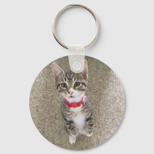 Chaveiro Gatinho Red Collar (Frente)