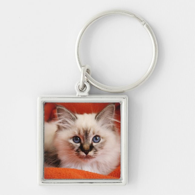 Chaveiro Gatinho sagrado de Birman (Frente)