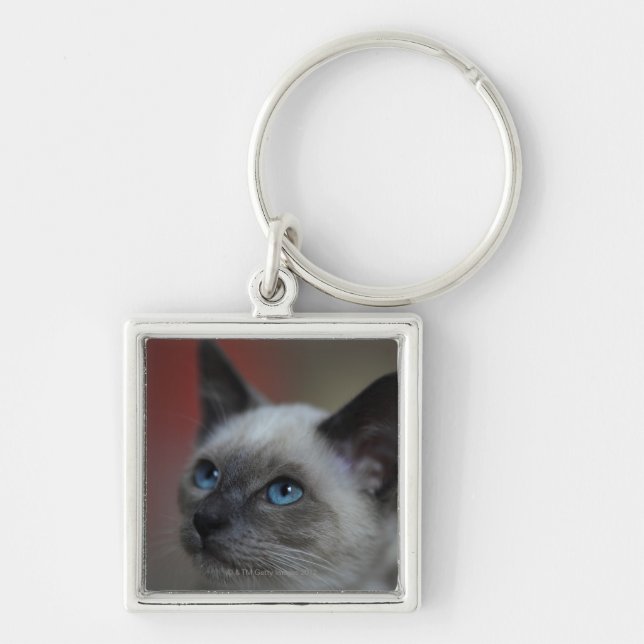 Chaveiro Gatinho Siamese (Frente)