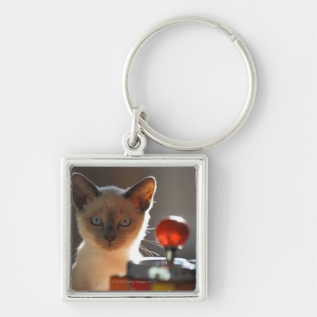 Chaveiro Gatinho Siamese (Frente)