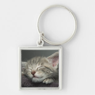 Chaveiro Gatinho sonolento
