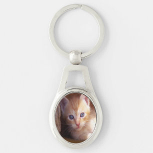 Chaveiro gatinhos