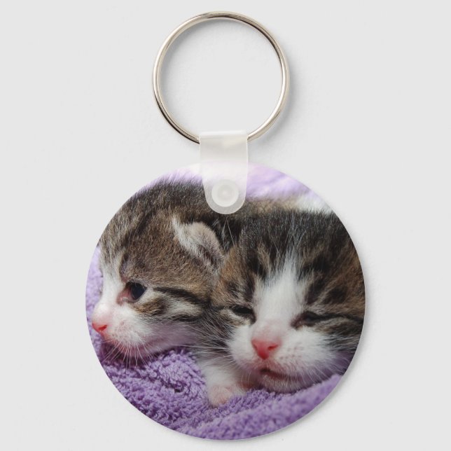 Chaveiro Gatinhos com sono (Frente)